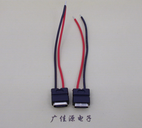 惠阳type c2p防水母座焊线式带线注塑成型带接线端子/不带接线端子充电连接器