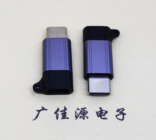 惠阳Type-C母转Type-C公 USB3.1 PD100W快冲接口